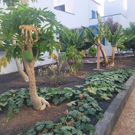 Nenita Apartment Caleta De Fuste Bagian luar foto